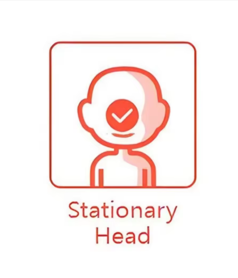 יצירת אמנות פסלון אווטאר אישי עצמי עבודת יד חיית מחמד דמות נערצת כל דבר מתנה מקורית