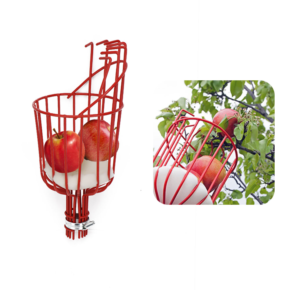 קוטף פירות 🍎 חכם קטיף קל, נקי ובטוח 🍐🌳עצי פרי + בונוס