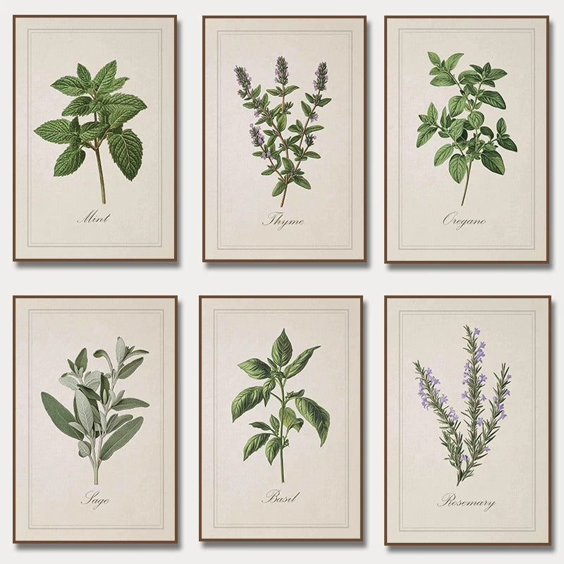 סט 6 פוסטר דיגיטלי להדפסה באיכות גבוהה פוסטר עשבי תיבול וינטג'