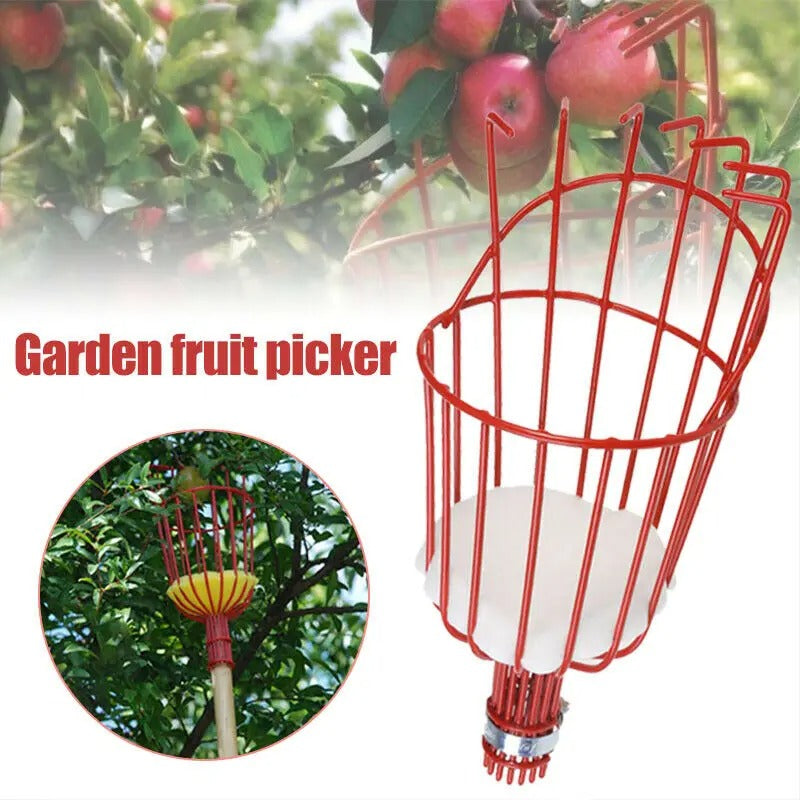 קוטף פירות 🍎 חכם קטיף קל, נקי ובטוח 🍐🌳עצי פרי + בונוס