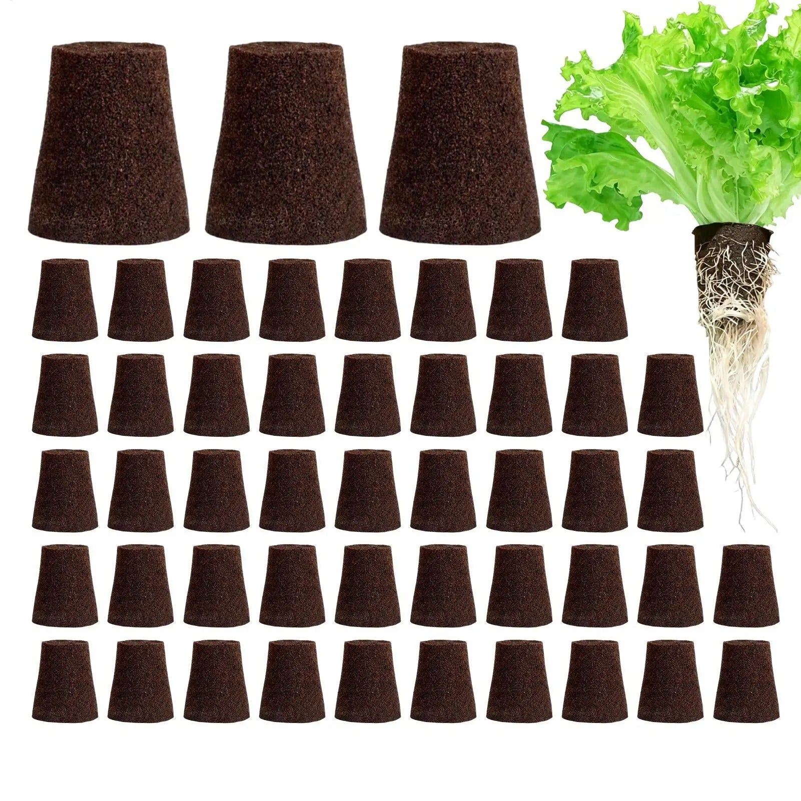 מארז 50 ספוגי השרשה מקצועים והנבטה הידרופוניים מצע גידול איכותי לשתילים, תבלינים ומערכות הידרופוניות