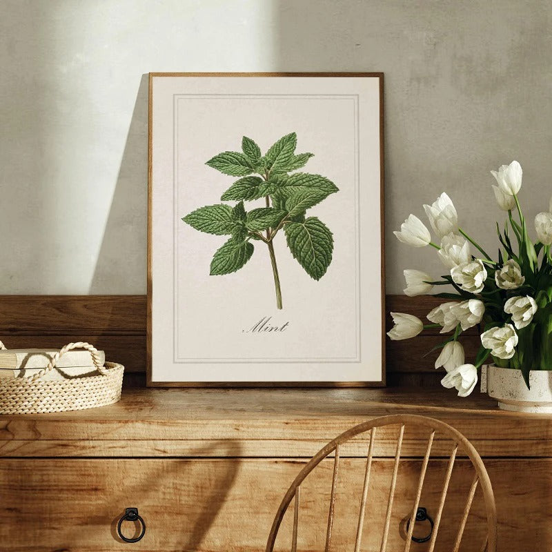 סט 6 פוסטר דיגיטלי להדפסה באיכות גבוהה פוסטר עשבי תיבול וינטג'