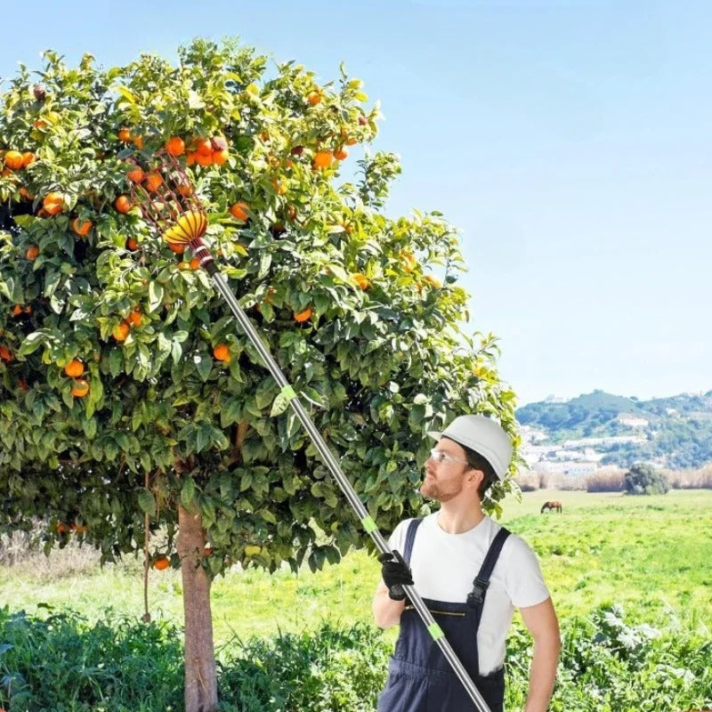 קוטף פירות 🍎 מקל טלסקופי מנירוסטהלגינה ולחקלאות קטיף פירות מגובה בלי מאמץ 🌳