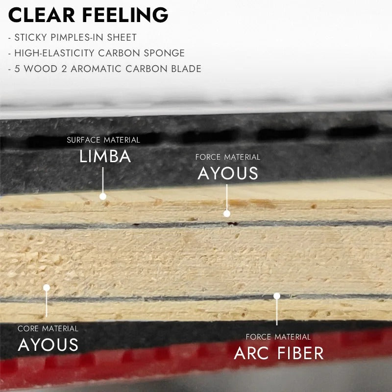 מחבט טניס שולחן מותג עולמי לוקי דרגון פינג פונג מקצועי 10 כוכבים