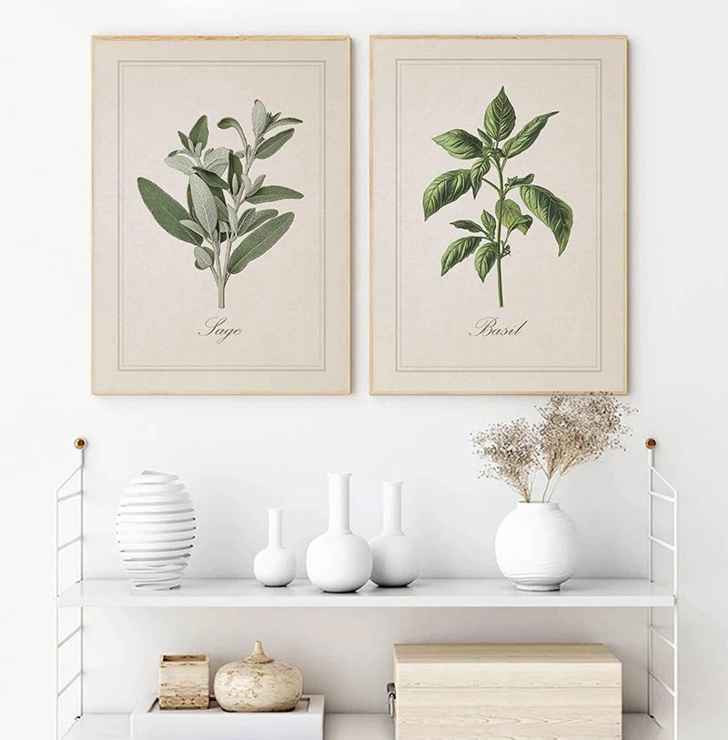 סט 6 פוסטר דיגיטלי להדפסה באיכות גבוהה פוסטר עשבי תיבול וינטג'