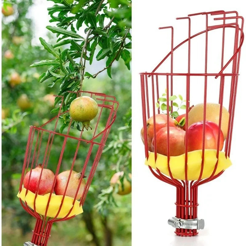 קוטף פירות 🍎 מקל טלסקופי מנירוסטהלגינה ולחקלאות קטיף פירות מגובה בלי מאמץ 🌳
