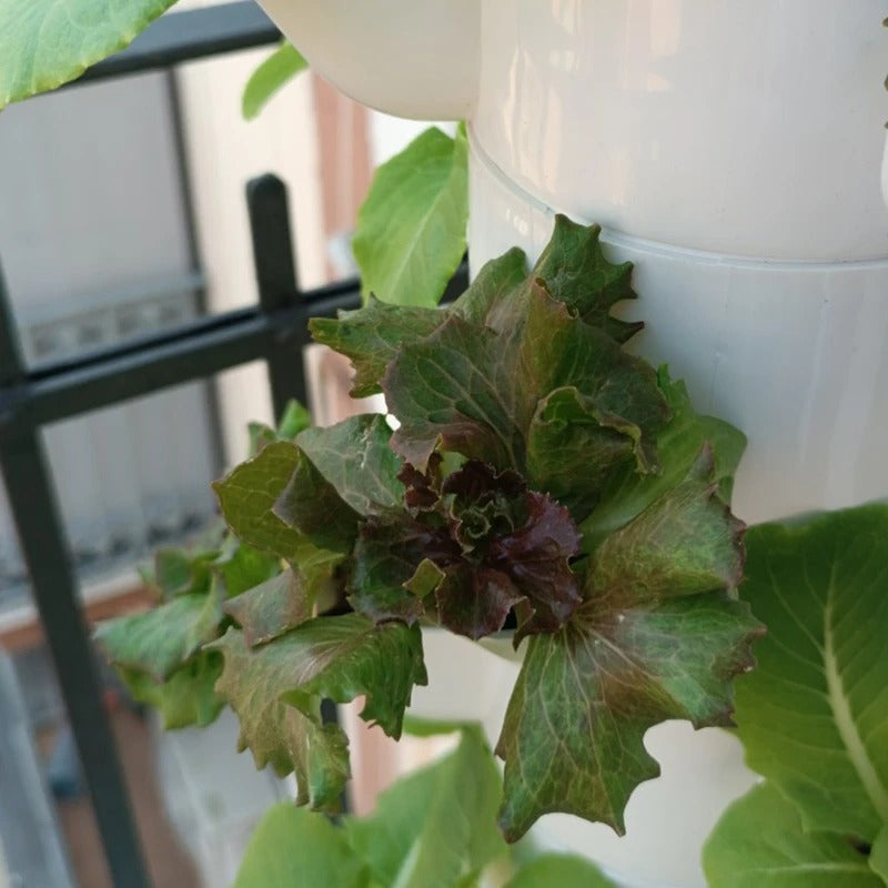 מערכת הידרופונית ביתית לגידול ירקות ופירות אנכית מקסימום יבול במינימום מקום!"