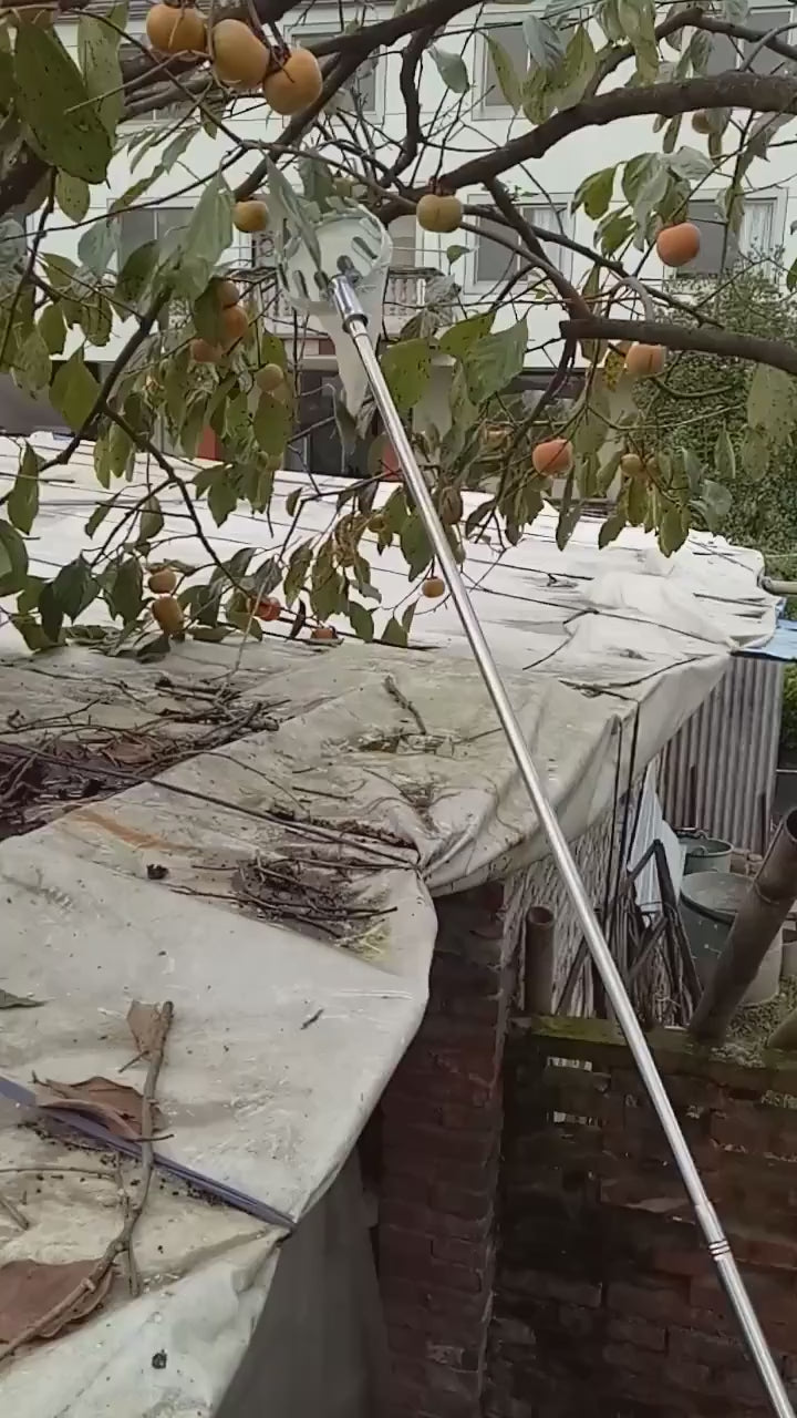 קוטף פירות 🍎 חכם קטיף קל, נקי ובטוח 🍐🌳עצי פרי + בונוס