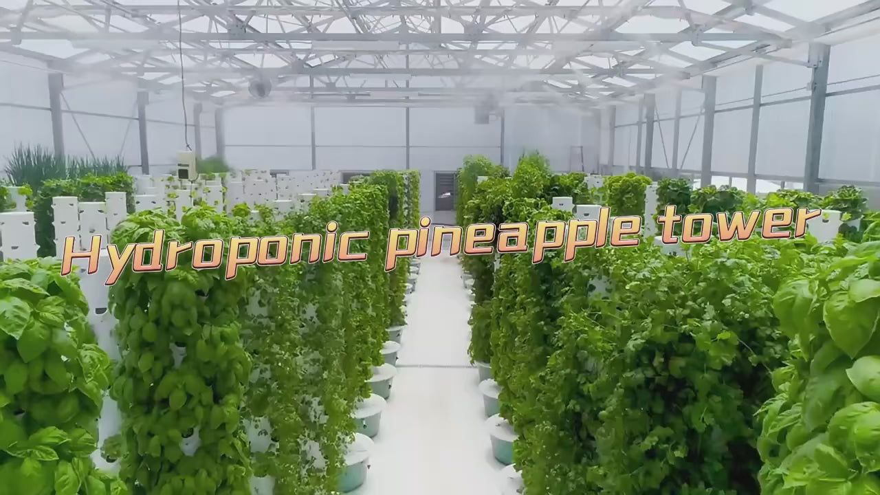 מגדל הידרופוני חכם לבית: ירקות טריים לאורך כל השנה ללא צורך באדמה