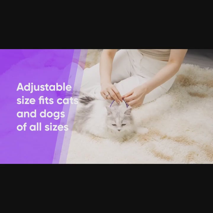 מבצע סט 4 קולר הרגעה לחיות מחמד